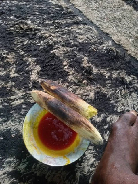 Plantin grillé et l'huile de palme